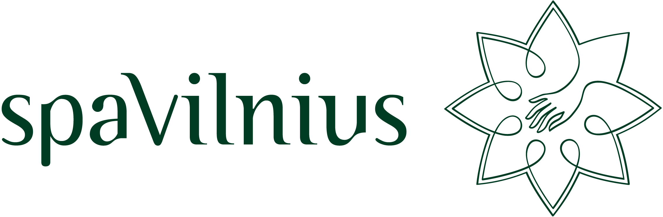 spaVilnius kiliminiudanguvalymas.lt